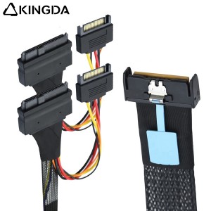 PCIe-Gen5-to-U.2